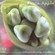 Cover: Fiona Apple - Extraordinary Machine (2005)