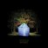 Cover: Dan Deacon - Bromst (2009)