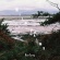 Cover: Wild Palms - Until Spring (2011)