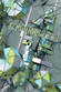 Cover: Semiconductor - Worlds in Flux (2007)