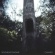 Cover: Southeast Engine - Canary (2011)