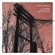 Cover: Harris Newman - Accidents with Nature and Each Other (2005)