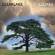 Cover: Clearlake - Cedars (2003)