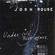 Cover: Josh Rouse - Under Cold Blue Stars (2002)