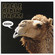 Cover: Eagle Ridin' Papas - Hokum (2006)