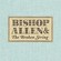 Cover: Bishop Allen - The Broken String (2007)